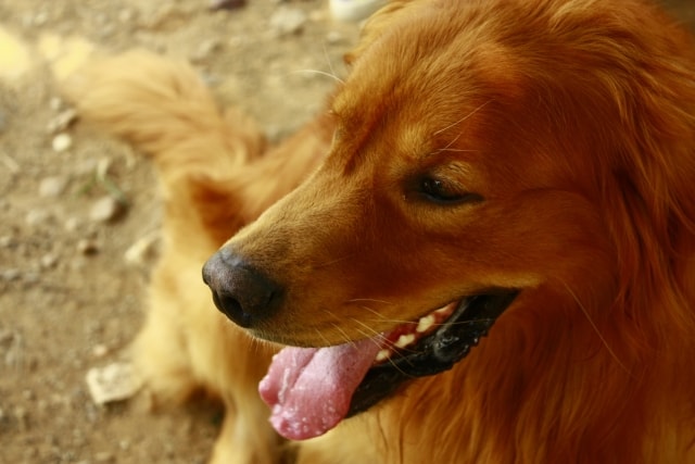 お客様の物語を大切にしたい