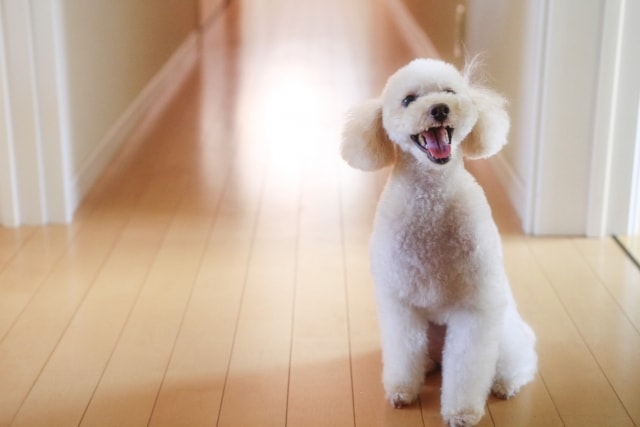 私たちの経験をお客様へ