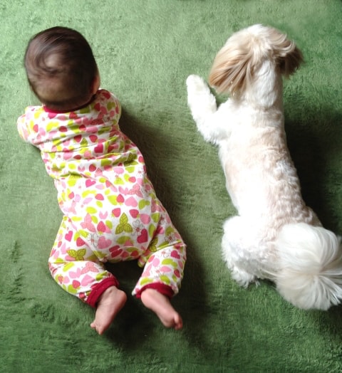 私たちらしいサービスをご提供