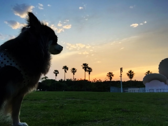 人間らしい心を込めたサービスを