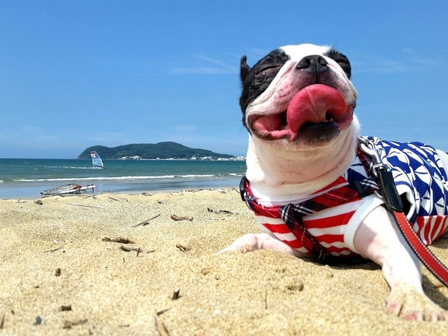 やっぱり部屋探しは楽しい