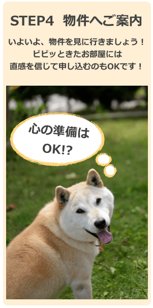 実際に賃貸マンションを見に行きましょう