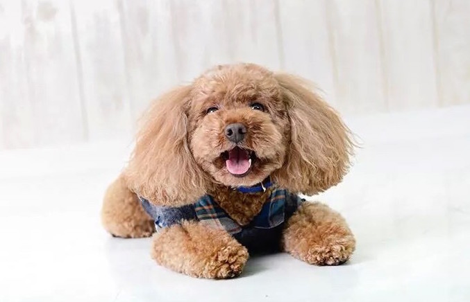 あなたの物語に、ベストなご提案ができるように。