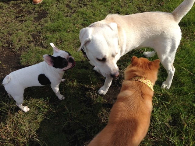 一緒に楽しいお部屋探しを！