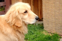 まずはウェブサイトからお問い合わせ