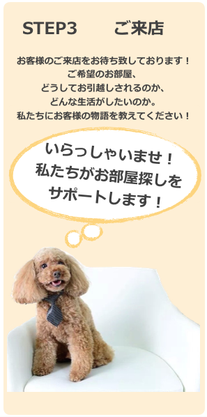 私たちに色々な話をお聞かせください